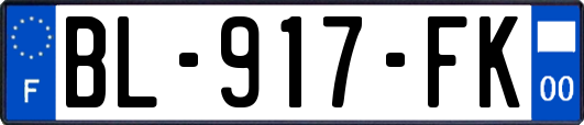 BL-917-FK