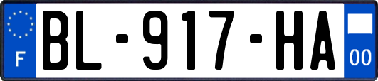 BL-917-HA