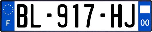 BL-917-HJ