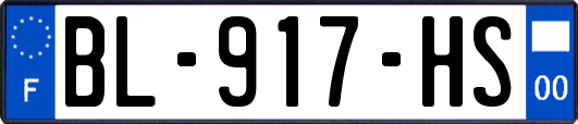 BL-917-HS