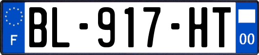 BL-917-HT