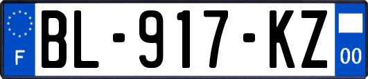 BL-917-KZ