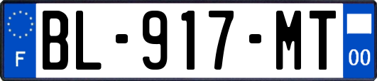 BL-917-MT