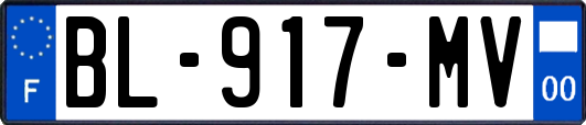 BL-917-MV