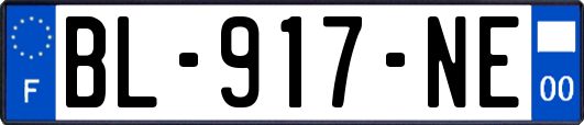 BL-917-NE