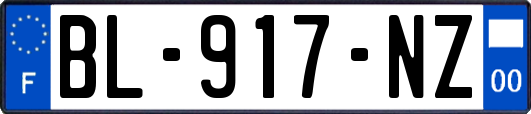 BL-917-NZ