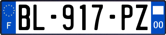 BL-917-PZ