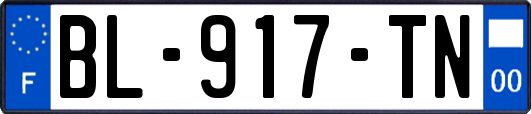 BL-917-TN