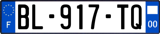 BL-917-TQ