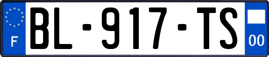 BL-917-TS