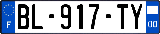 BL-917-TY