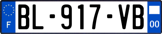 BL-917-VB