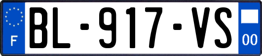 BL-917-VS