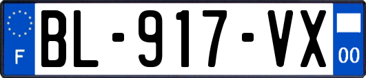 BL-917-VX
