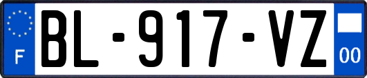 BL-917-VZ