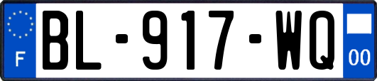 BL-917-WQ