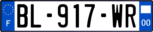 BL-917-WR