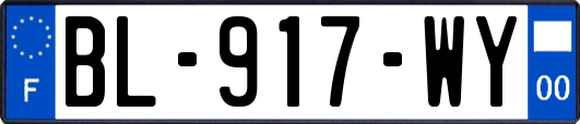 BL-917-WY
