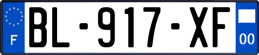 BL-917-XF