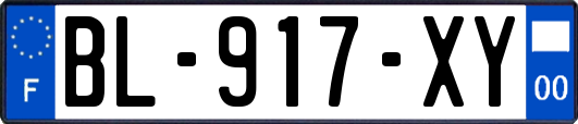 BL-917-XY