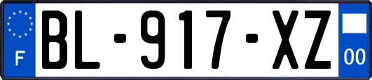 BL-917-XZ