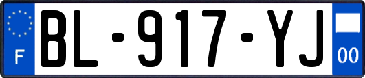 BL-917-YJ
