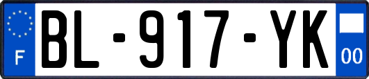 BL-917-YK