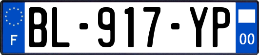 BL-917-YP