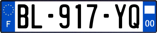 BL-917-YQ