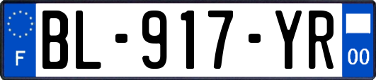 BL-917-YR