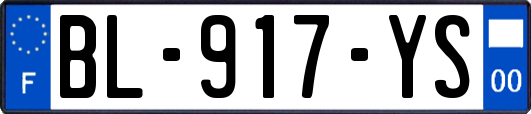 BL-917-YS