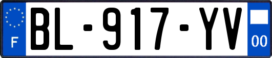 BL-917-YV