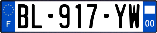 BL-917-YW
