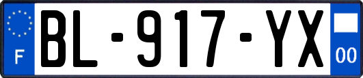 BL-917-YX