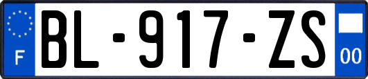 BL-917-ZS