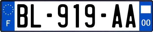 BL-919-AA