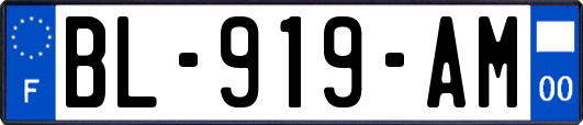 BL-919-AM