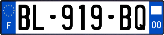 BL-919-BQ