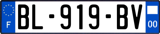 BL-919-BV