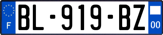 BL-919-BZ