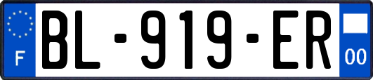 BL-919-ER