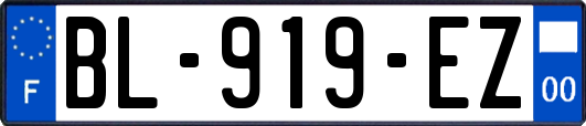 BL-919-EZ