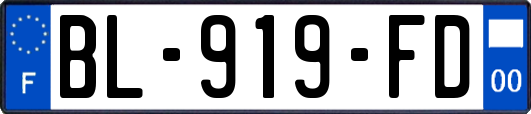 BL-919-FD