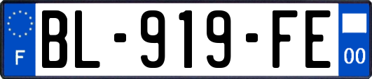 BL-919-FE