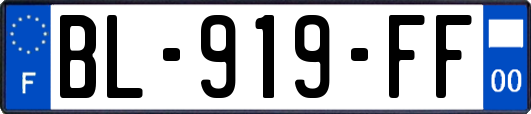 BL-919-FF