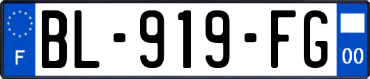 BL-919-FG