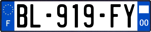 BL-919-FY