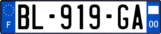 BL-919-GA