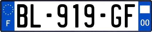 BL-919-GF
