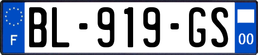 BL-919-GS